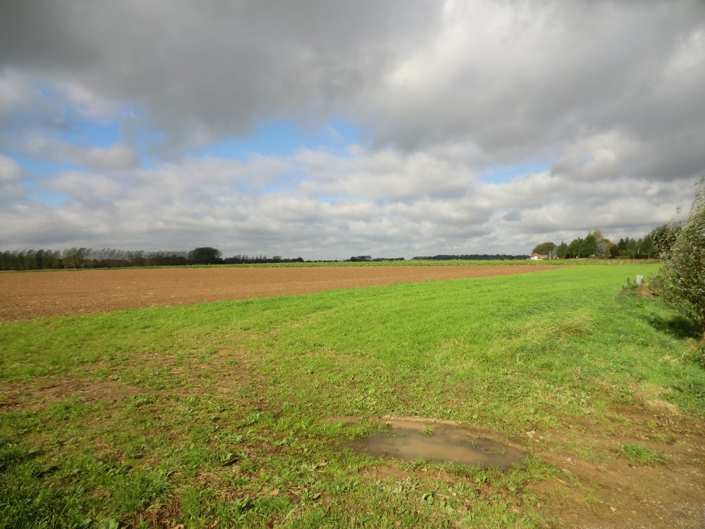Agincourt battle field